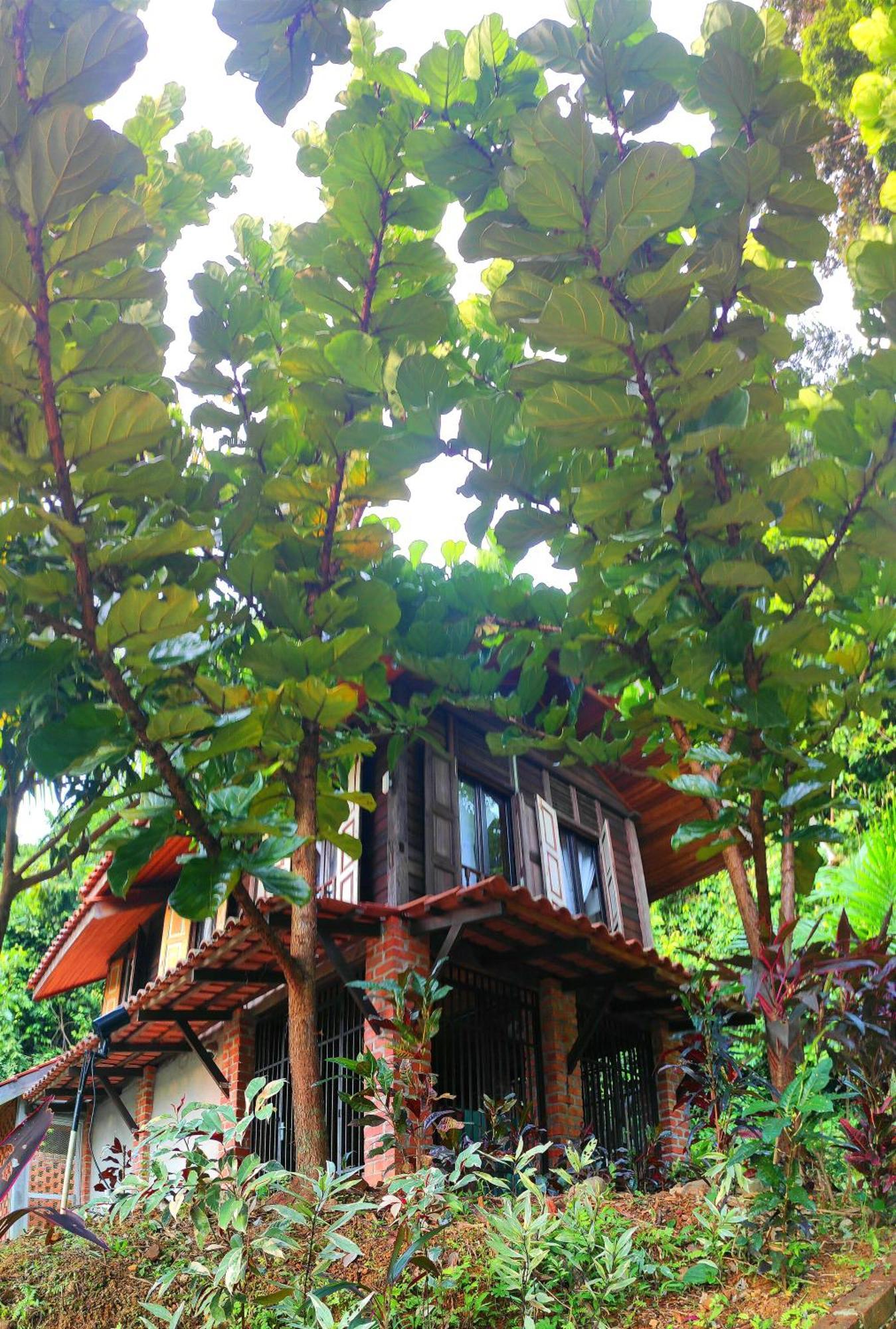 S'Ekar Pinang Langkawi Bed & Breakfast Pantai Cenang  Exterior photo