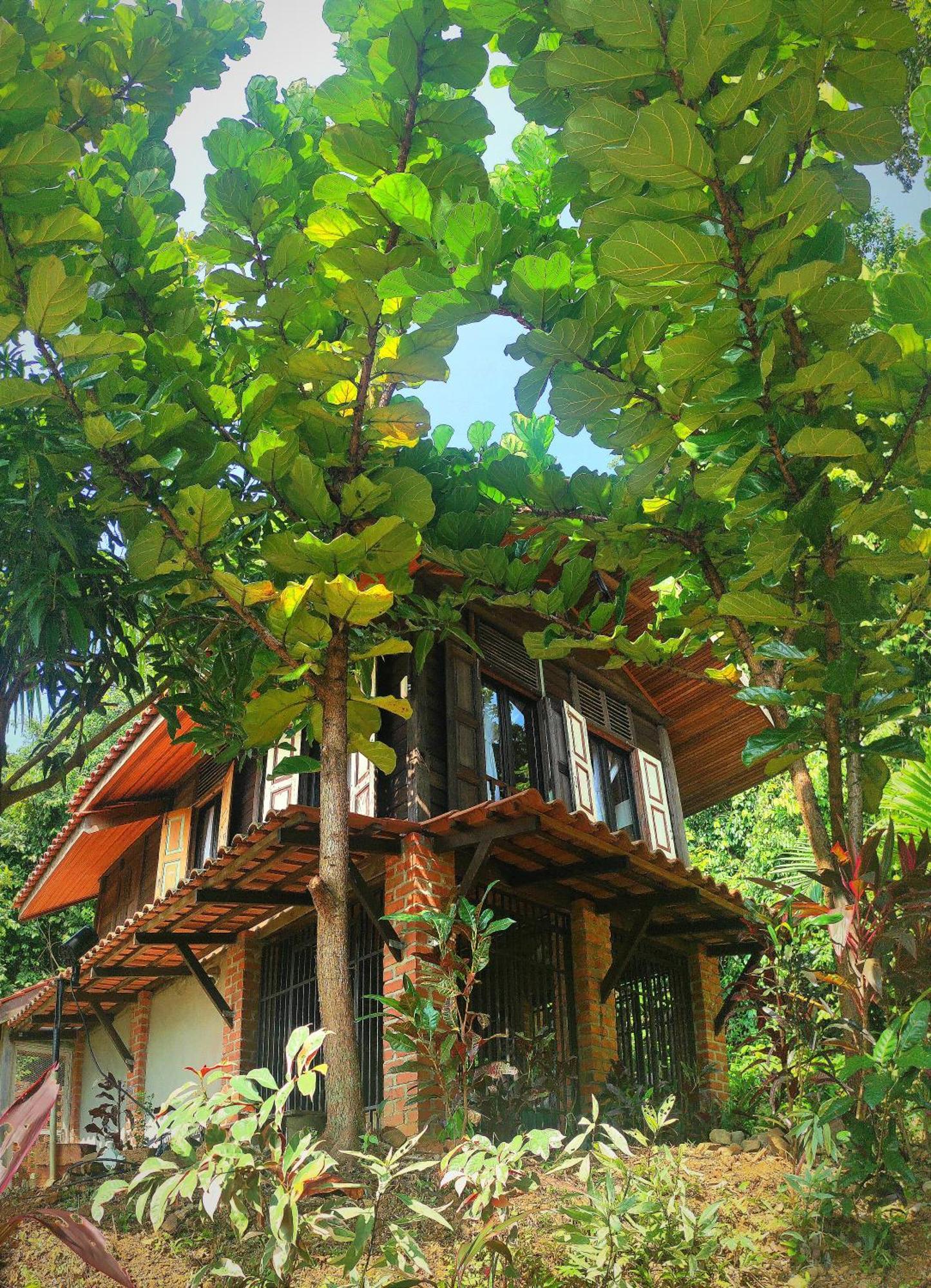 S'Ekar Pinang Langkawi Bed & Breakfast Pantai Cenang  Exterior photo